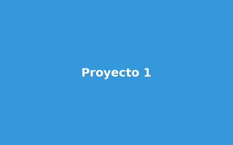 Proyecto 1